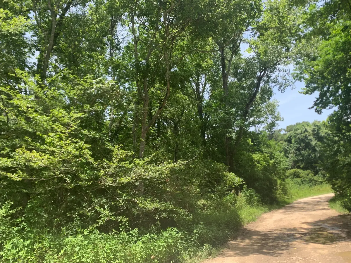 0000 Loblolly Cir Circle, Dayton, TX 77535 - #1