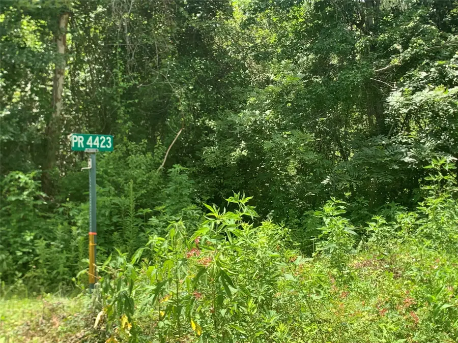 0000 Loblolly Cir Circle, Dayton, TX 77535 - #2