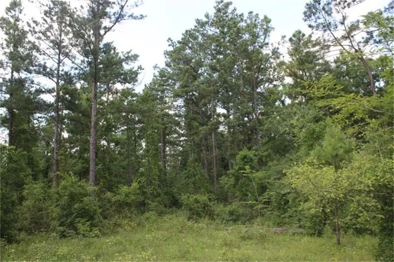 10182 County Road 208, Anderson, TX 77830 - Image #1