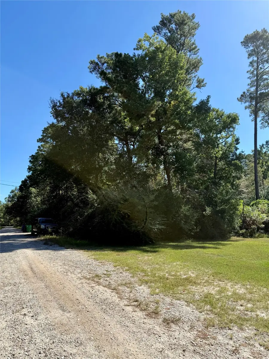 N/a Lot 9 Berry Knoll, Livingston, TX 77351 - #2