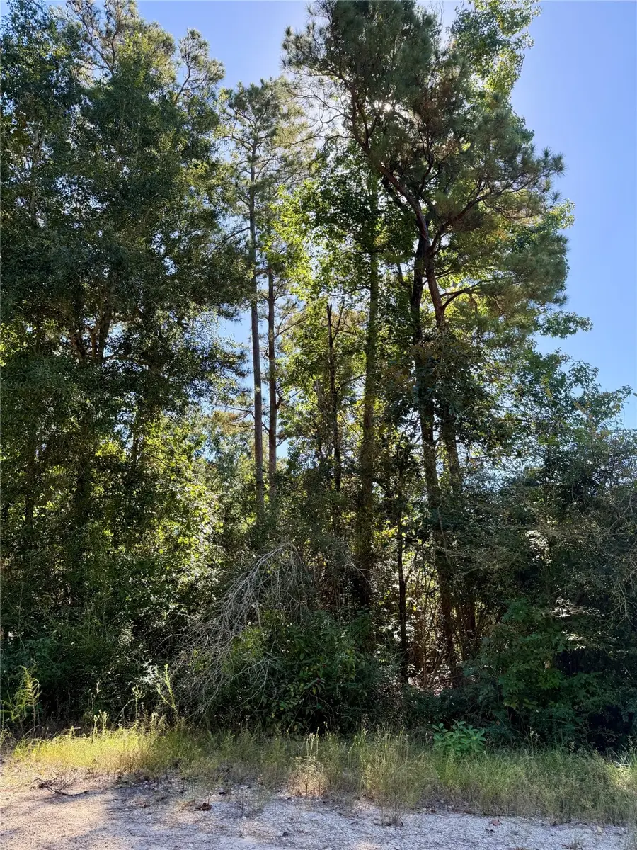 N/a Lot 9 Berry Knoll, Livingston, TX 77351 - #3