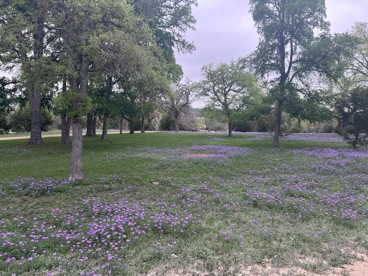 1719 Sisterdale Road, Boerne, TX 78006 - Image #1