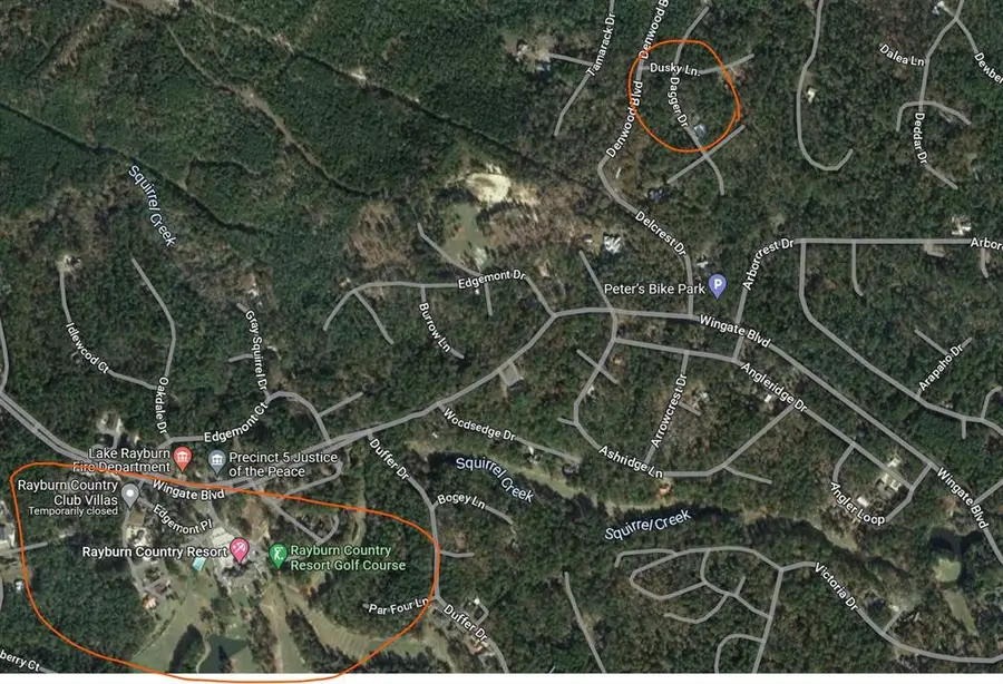 68 Dagger Dr Drive, Brookeland, TX 75931 - Image #3