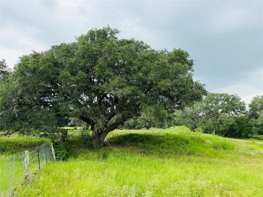 10309 Cr 1, Hallettsville, TX 77964 - #2