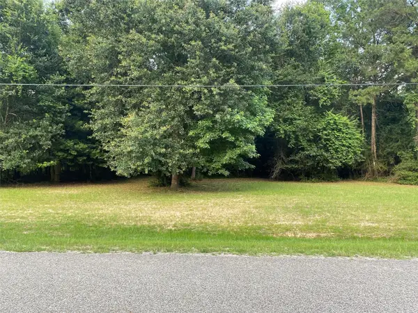 2302 E Blue Lake Drive, Magnolia, TX 77354