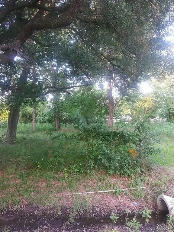 8301 Sandra Street, Houston, TX 77016