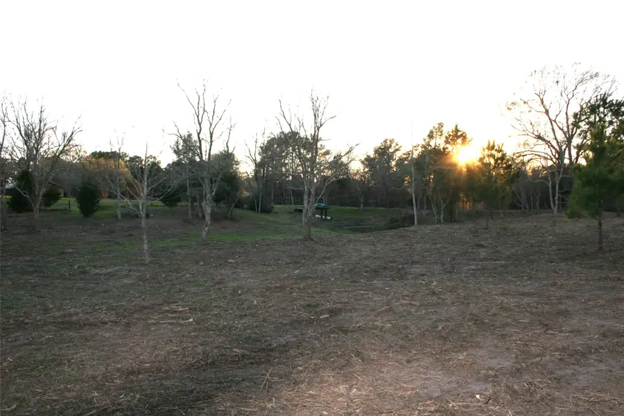 TBD Peters San Felipe Road, Sealy, TX 77474 - #2