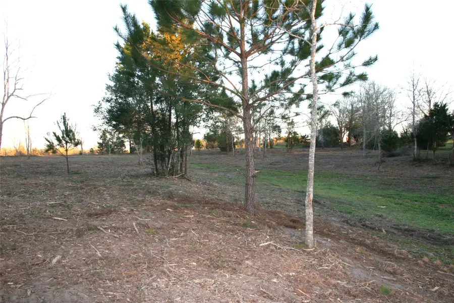 TBD Peters San Felipe Road, Sealy, TX 77474 - #3