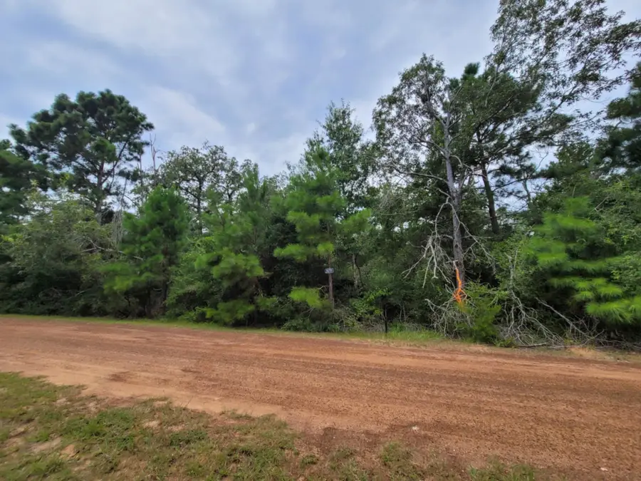 26791 Redwood Drive, Hempstead, TX 77445 - Image #2