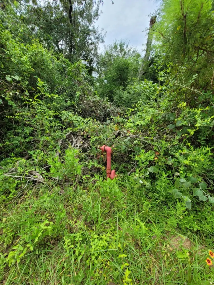 26791 Redwood Drive, Hempstead, TX 77445 - Image #3