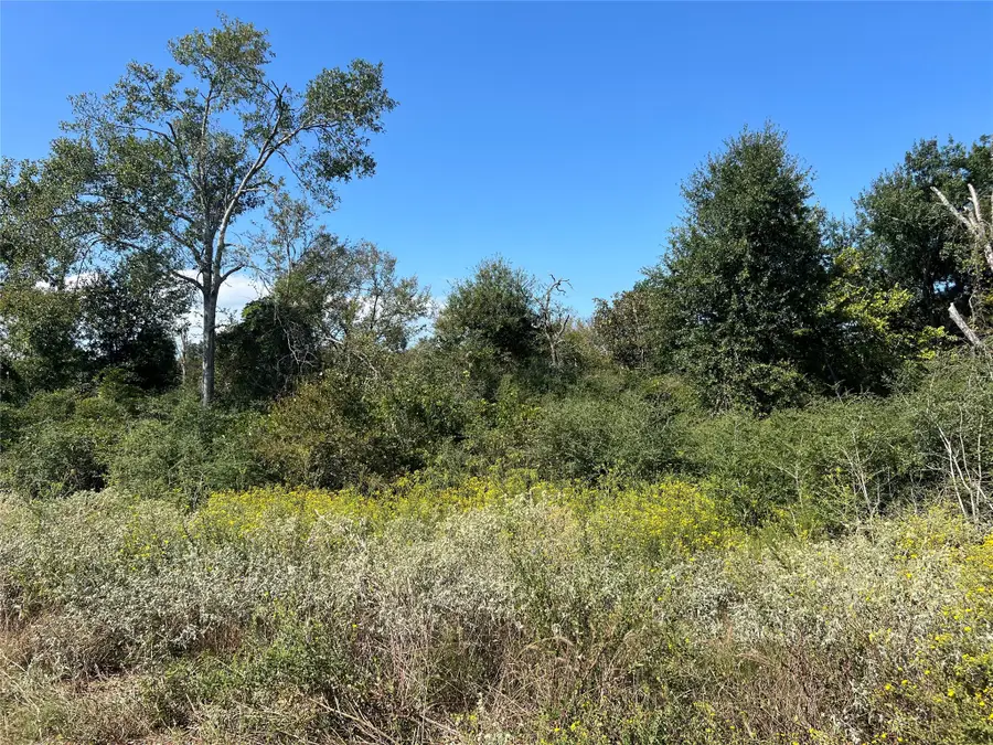 000 Cr 322, Jewett, TX 75846 - Image #3