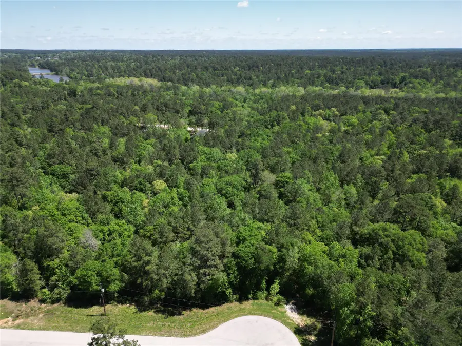 0 Pyrite Court, Huntsville, TX 77340 - Image #3