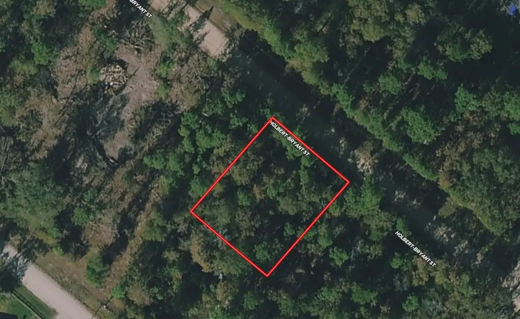 Lot 172 Halbert Bryant Street, Livingston, TX 77351 - Image #1