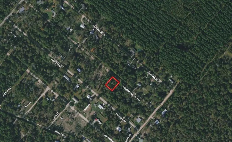Lot 172 Halbert Bryant Street, Livingston, TX 77351 - Image #2