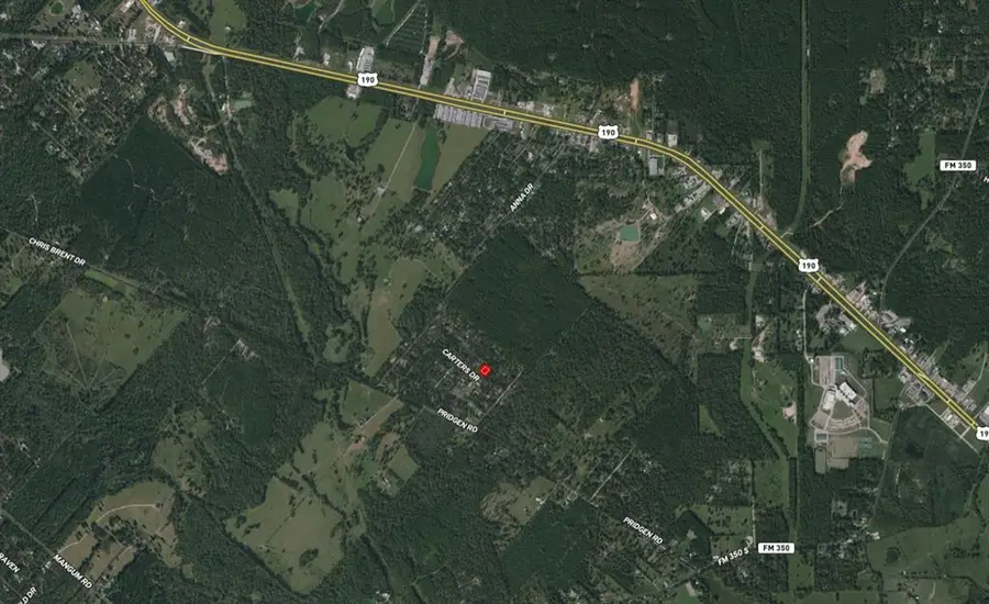 Lot 172 Halbert Bryant Street, Livingston, TX 77351 - Image #3