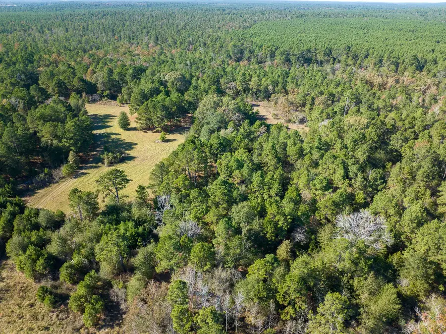 80 Rosenwall Road, Huntsville, TX 77320 - Image #2