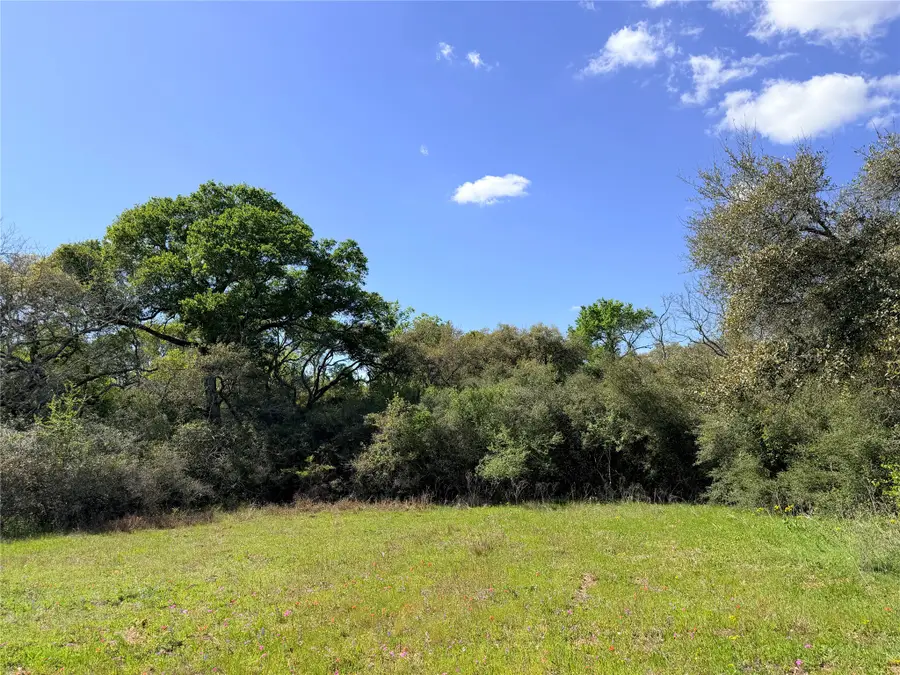 TBD Loose Cow Rd, Garwood, TX 77442 - #3
