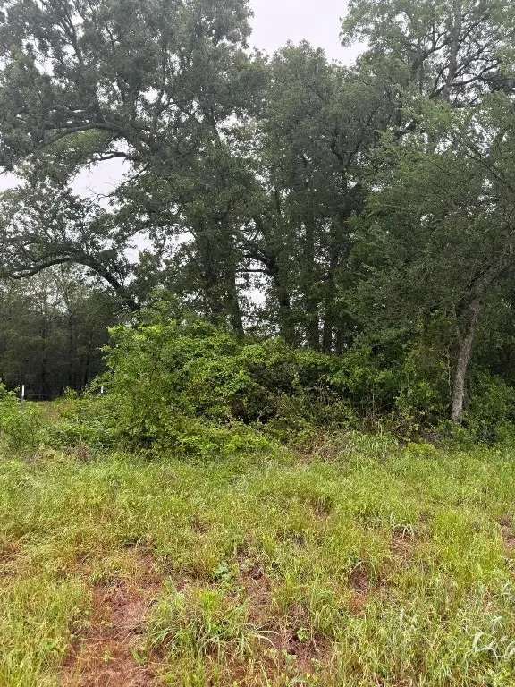 00 E Hwy 164, Groesbeck, TX 76642 - #3