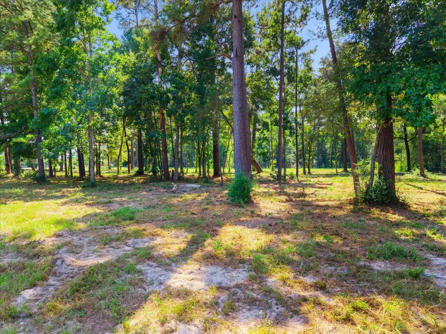 Lot 1, Blk 1 Capital Creek Ranch Blvd, Willis, TX 77378 - Image #3