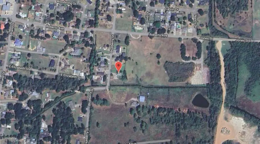 435 Blueberry Street, Bridge City, TX 77611 - Image #3