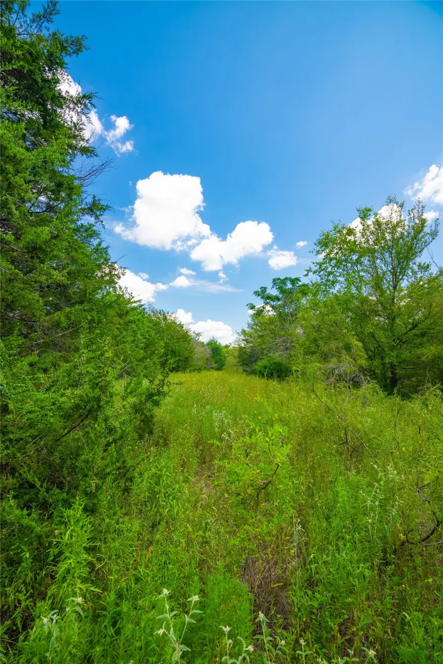 00 Lcr 258, Mexia, TX 76667 - #3