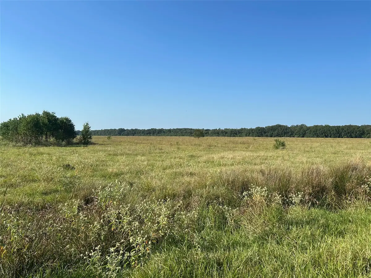 Lot 63 Minnie West Rd Drive, Hull, TX 77564 - #1
