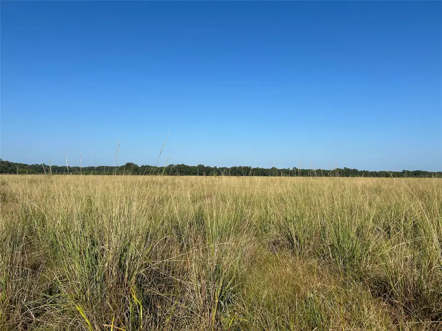 Lot 63 Minnie West Rd Drive, Hull, TX 77564 - #3