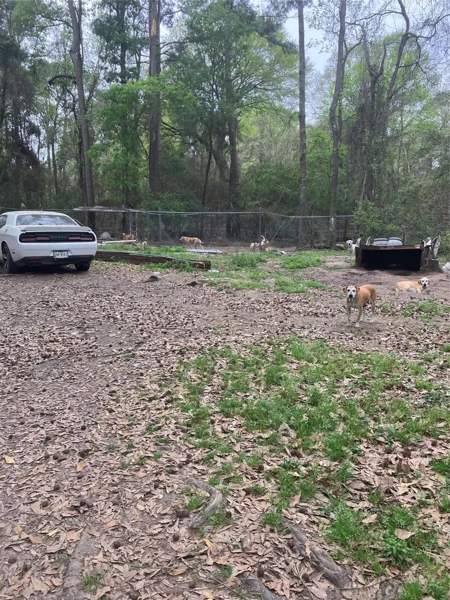 21060 Patricia Lane, New Caney, TX 77357 - Image #3