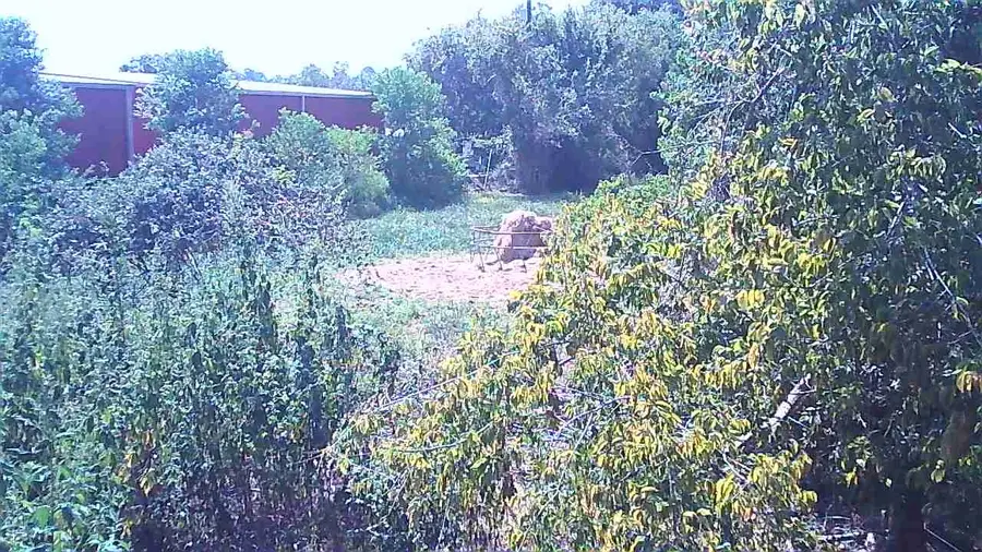 0 12th Street, Brookshire, TX 77423 - Image #2