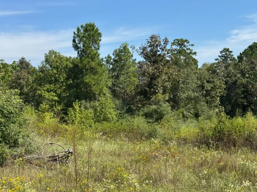 Tract 5 Private Road 8385, Hillister, TX 77660 - #2