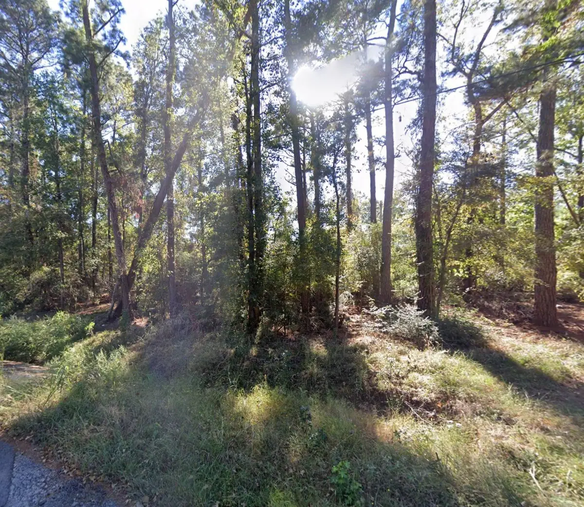 TBD Parkview Dr Drive, Onalaska, TX 77360 - Image #1