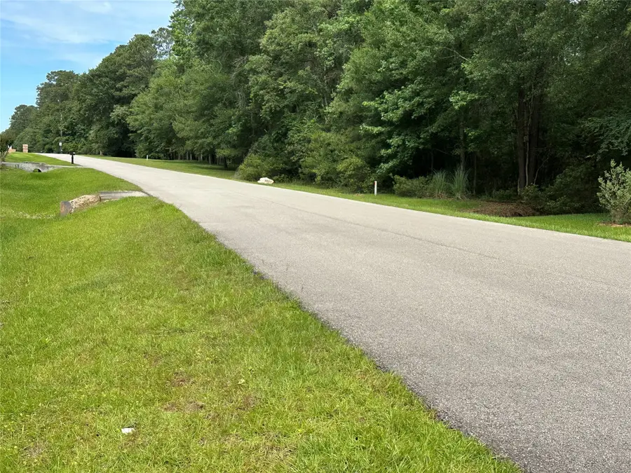 17103 Indigo Hills Drive, Magnolia, TX 77355 - #2