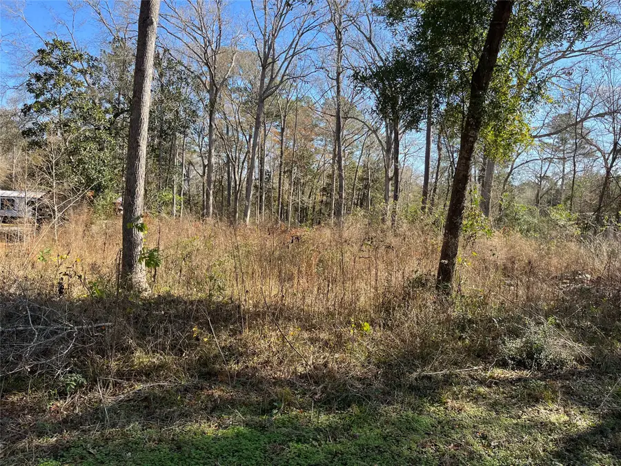 000 Bitter Creek Drive, Shepherd, TX 77371 - Image #3