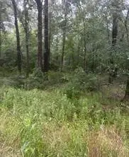 TBD Moonbeam Dr, Livingston, TX 77351 - #3