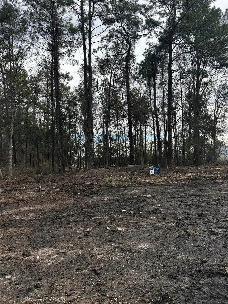 4804 Agean Drive, Humble, TX 77346 - Image #3