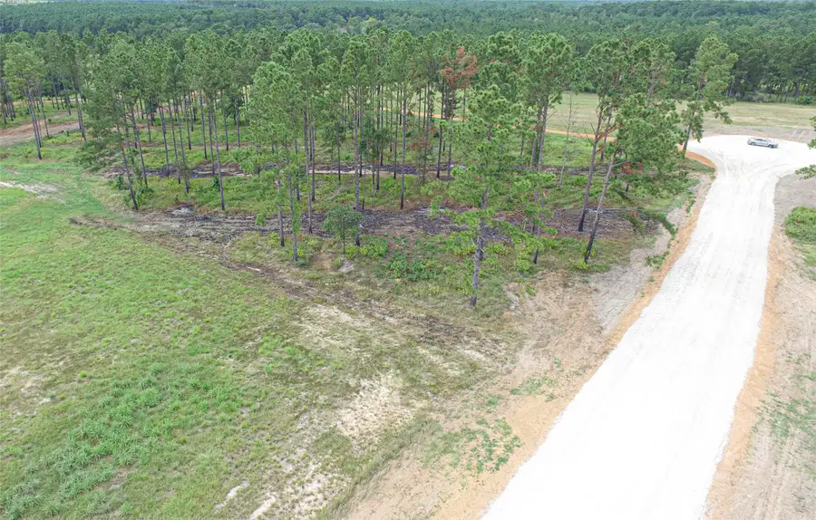 007 Nelson Dr, Livingston, TX 77351 - #3