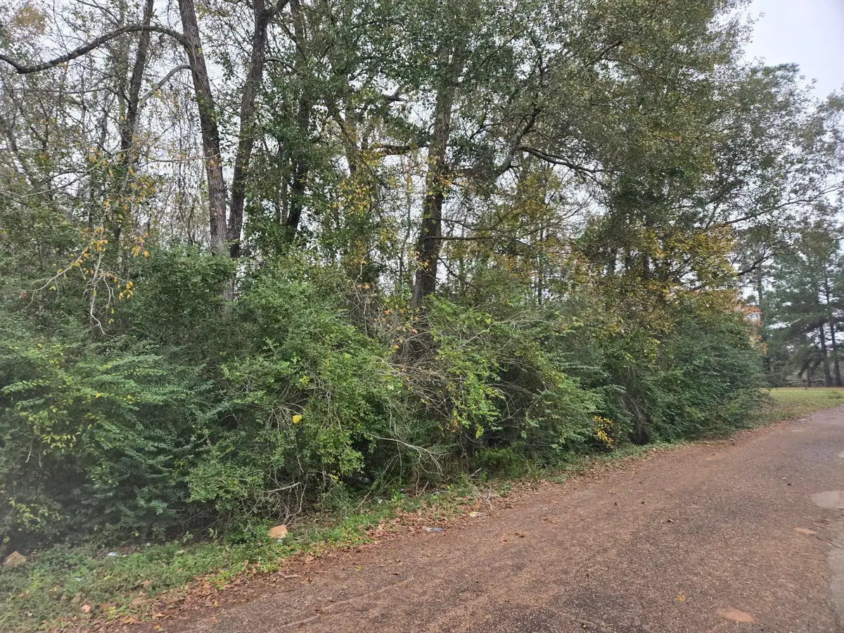 19515 Pine Haven Road Drive, Conroe, TX 77385 - Image #1