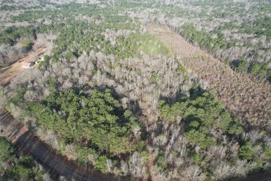 TBD County Road 3659, Queen City, TX 75572 - #2