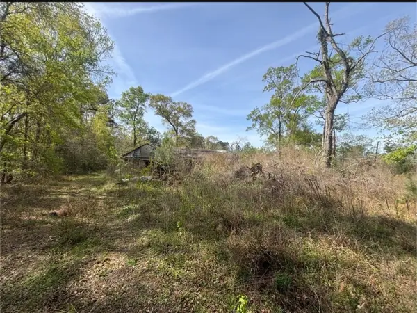 19014 Deer Glen Drive, Conroe, TX 77302