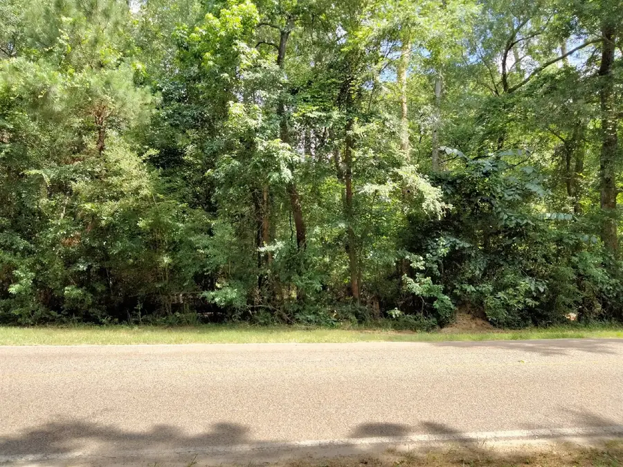 19300 Mount Pleasant Road, Montgomery, TX 77356 - Image #3