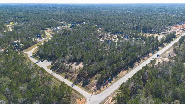 7629 Trinity Pines Drive, Montgomery, TX 77316