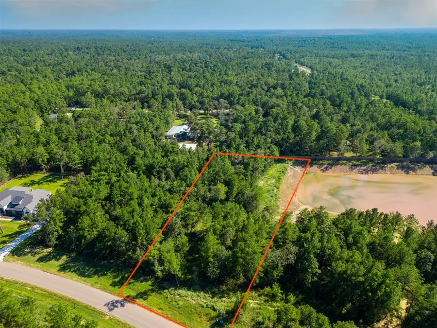 7737 Dog Wood Acres Drive, Montgomery, TX 77316 - Image #3