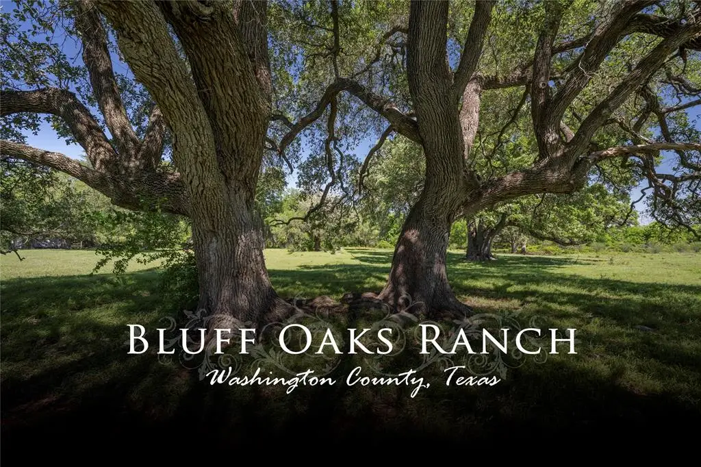 15140 Bluff Road, Washington, TX 77880 - Image #1