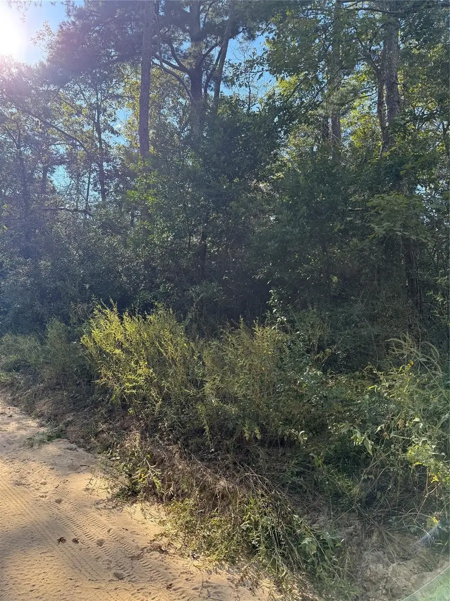 TBD Lannie Blvd, Livingston, TX 77351 - Image #3