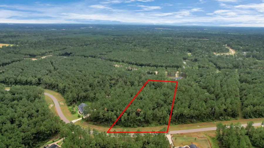 10940 Ruger Road, Willis, TX 77378 - Image #2