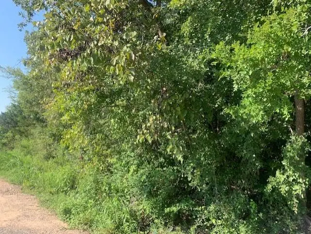 701 E W Blackshear Street, Navasota, TX 77868 - Image #2