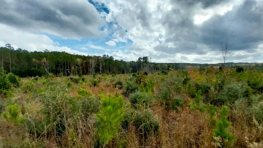 000 Pr 6150, Woodville, TX 75979 - Image #2