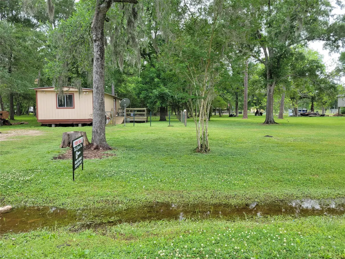 20402 Birchmont Drive, Guy, TX 77444 - #1