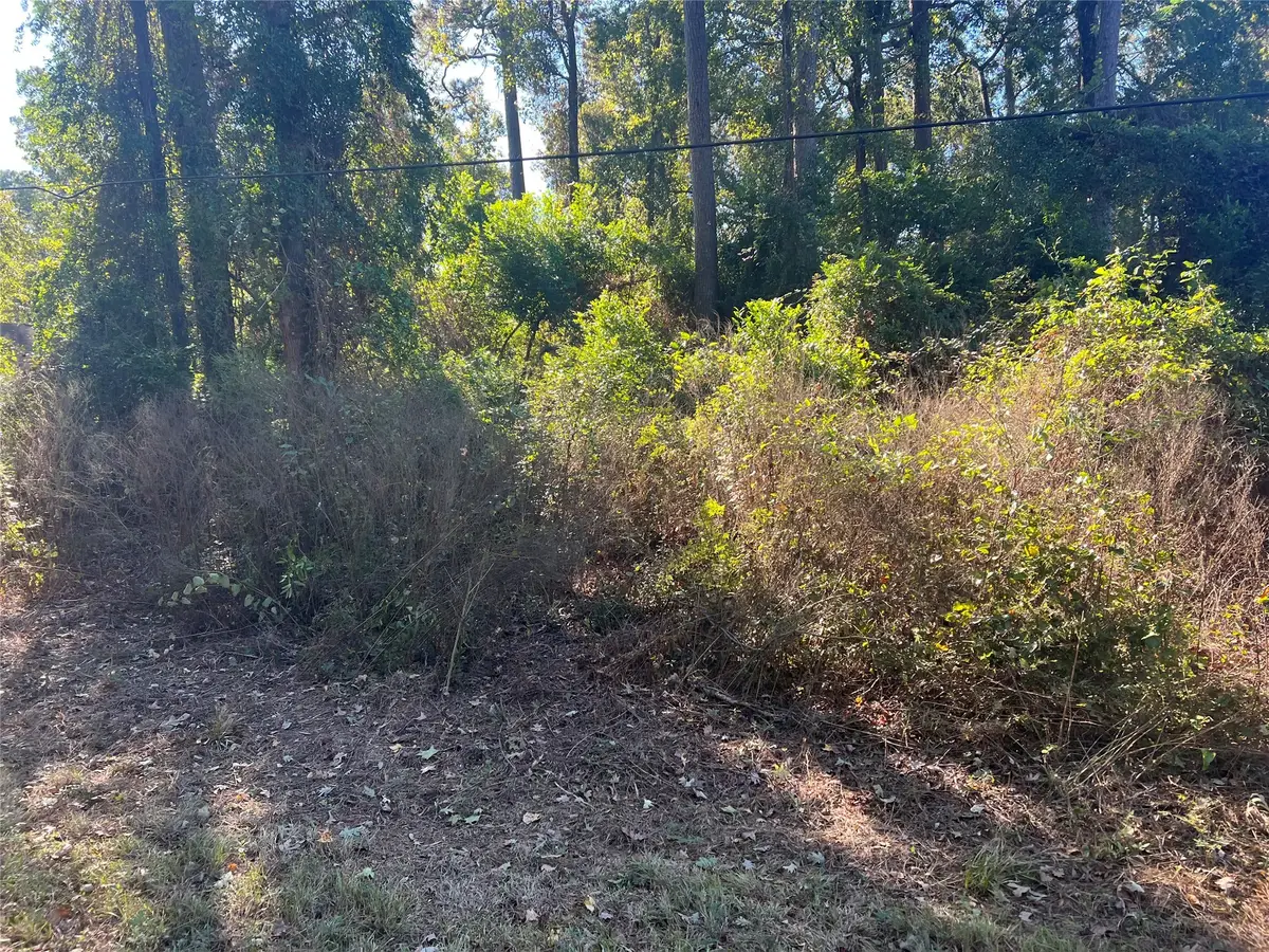 25744 Dogwood Lane, Cleveland, TX 77328 - Image #1