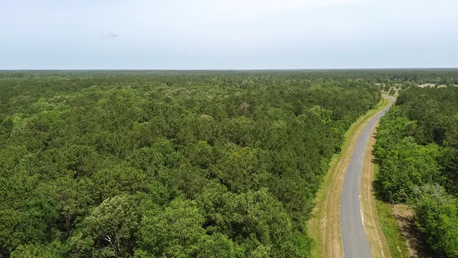 TBD ABC Dream Catcher Drive, Wallisville, TX 77597 - Image #2